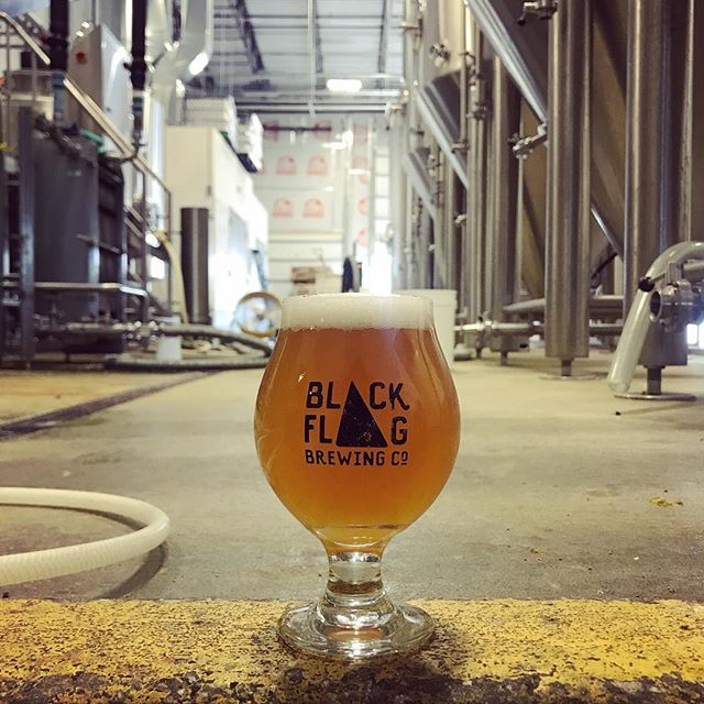 black flag brewing