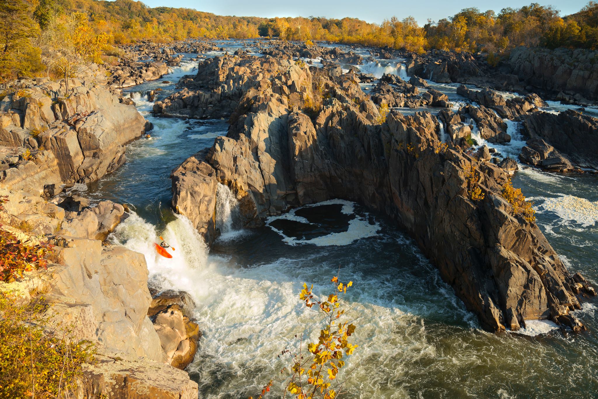 are dogs allowed at great falls park