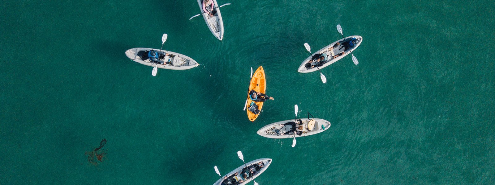 Kayak Tour