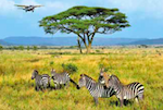 Tanzania