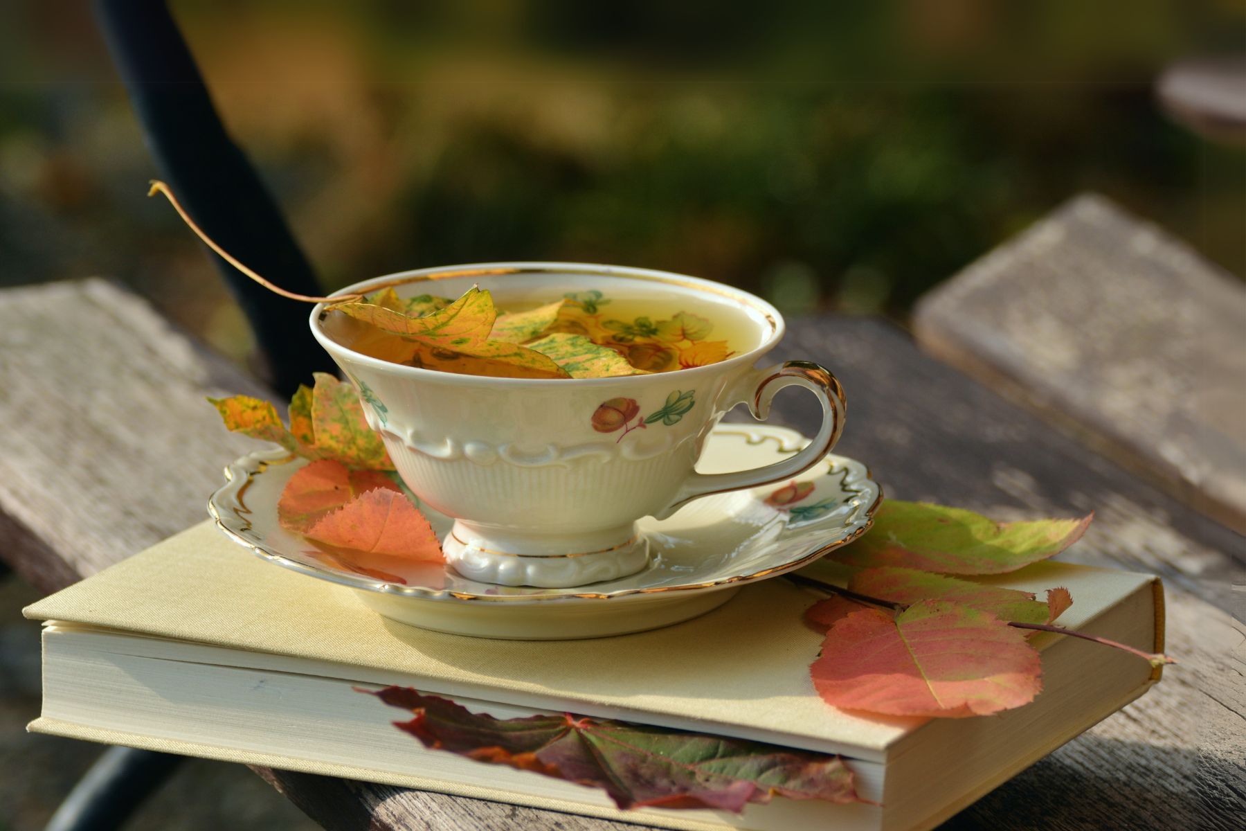 tea cup