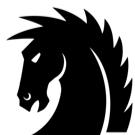 Dark Horse Technologies LLC logo