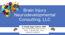 Brain Injury Neurodevelopmental Consulting, LLC logo