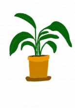 Planticular logo